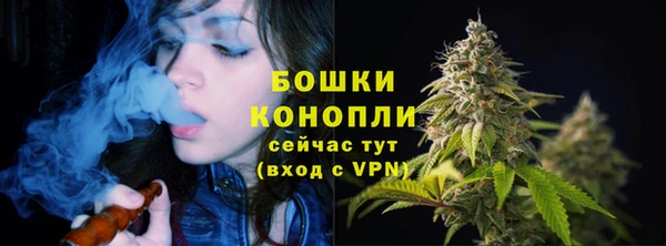 спиды Армянск