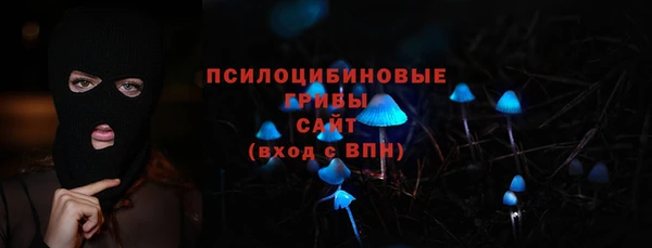 МДПВ Алексин